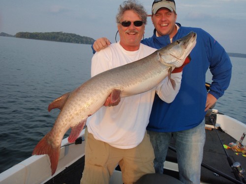 3 over 50 inches , 4 caught that morning 